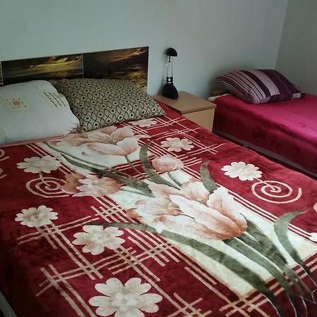 Apartmán Sosnowy Dworek Józefów Exteriér fotografie