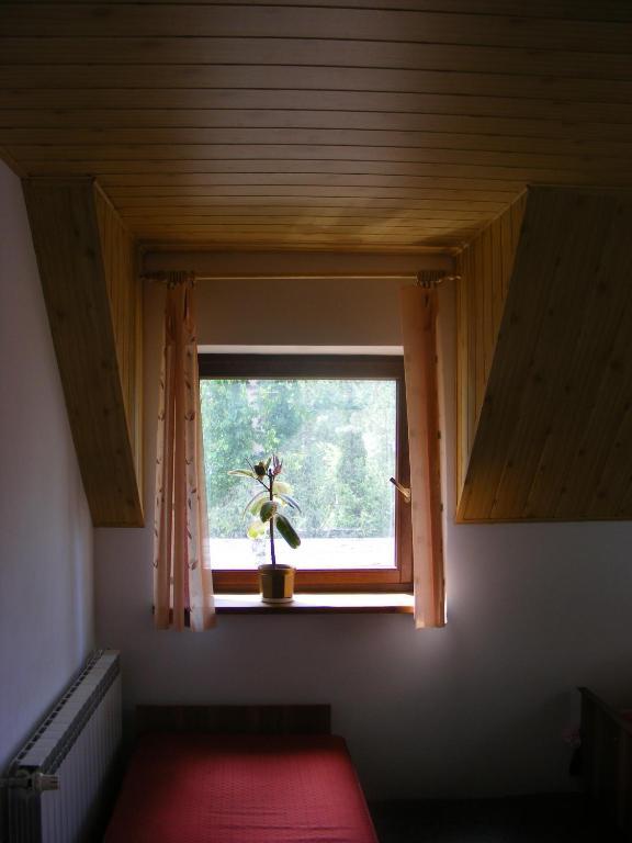 Apartmán Sosnowy Dworek Józefów Exteriér fotografie